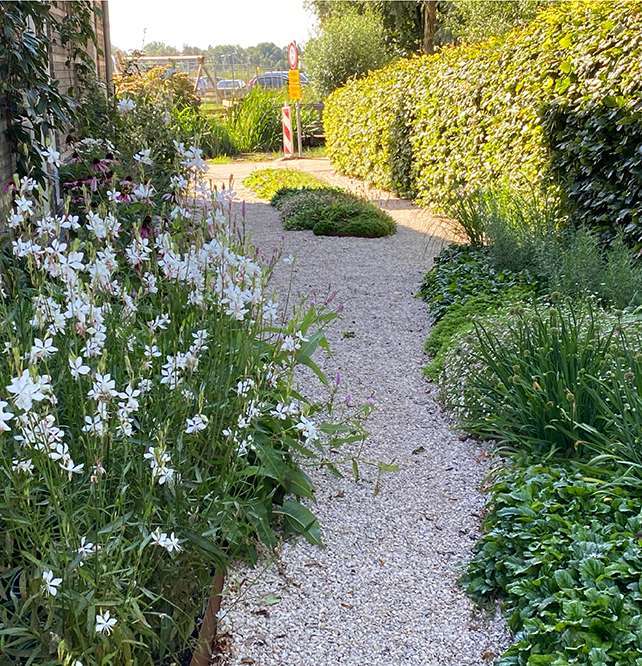 Plantenplan voor Holysloot